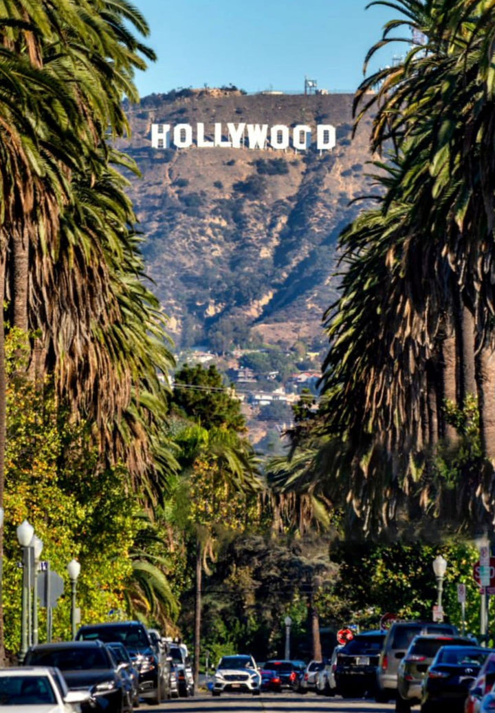 The iconic Hollywood sign proudly graces the skyline, standing tall against a picturesque backdrop of swaying palm trees.