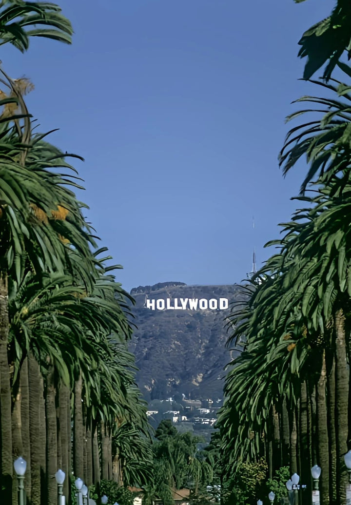 A boulevard lined with palm trees and a sign that reads "Hollywood" in the background.