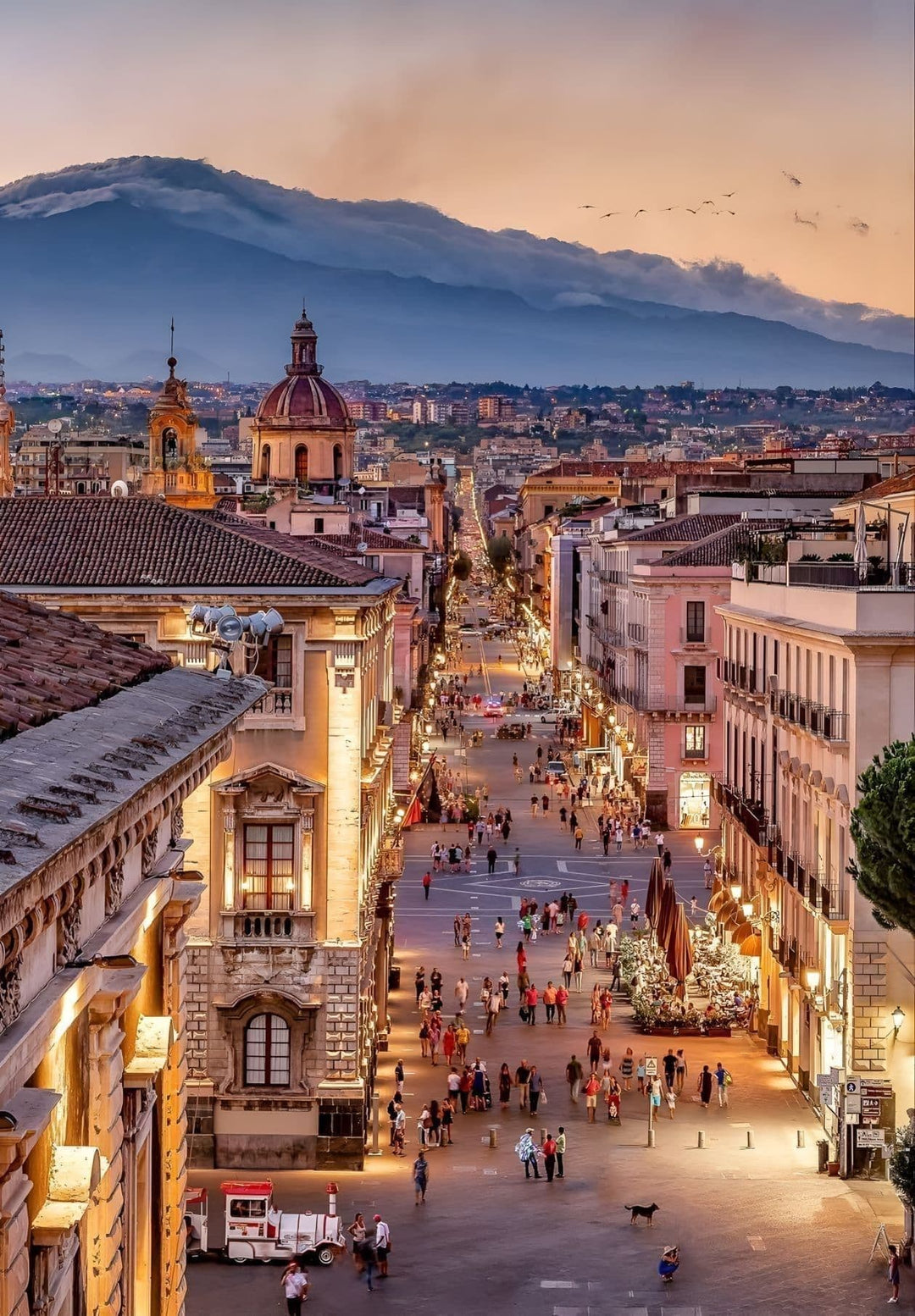 Nocturnal Catania, located in Sicily, is a prominent center for fashion where the traditional and contemporary elements combine together.