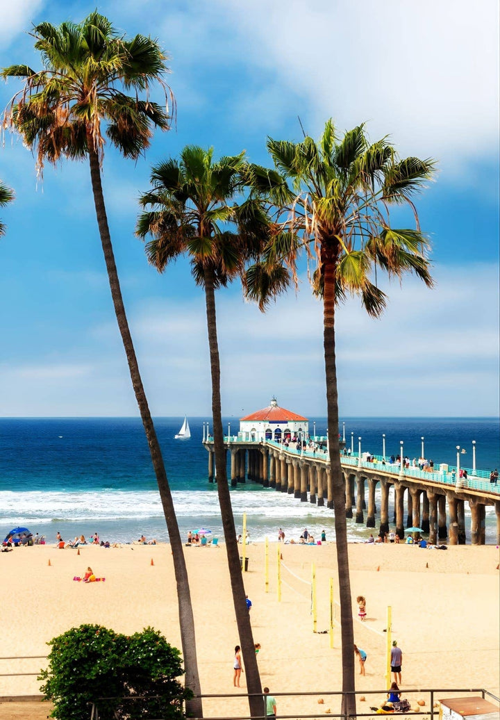 Palm trees and the Manhattan Beach Pier can be seen in the vicinity of the South Bay area in Los Angeles, California.