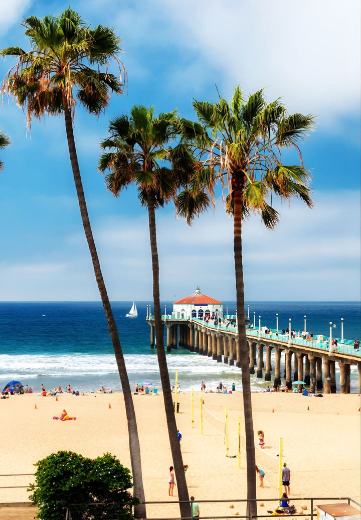 The Manhattan Beach Pier, with palm trees, is a prominent feature of the landscape.
