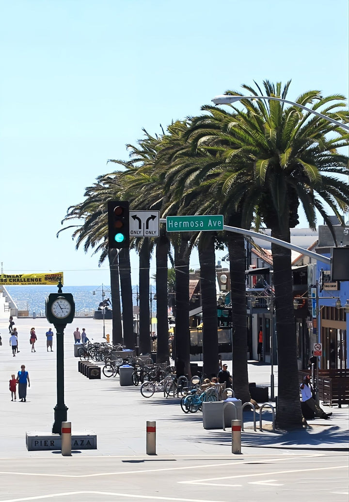 The street sign for Hermosa Avenue, which features palm trees and a traffic light.