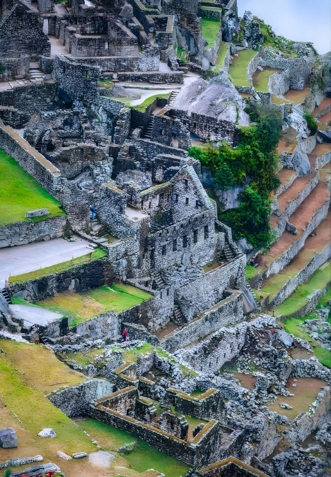 Nestled within Machu Picchu's embrace, the Temple of the Sun and Mausoleum stand as poignant echoes of a bygone era, whispering tales of ancient civilizations and mystical wonder.
