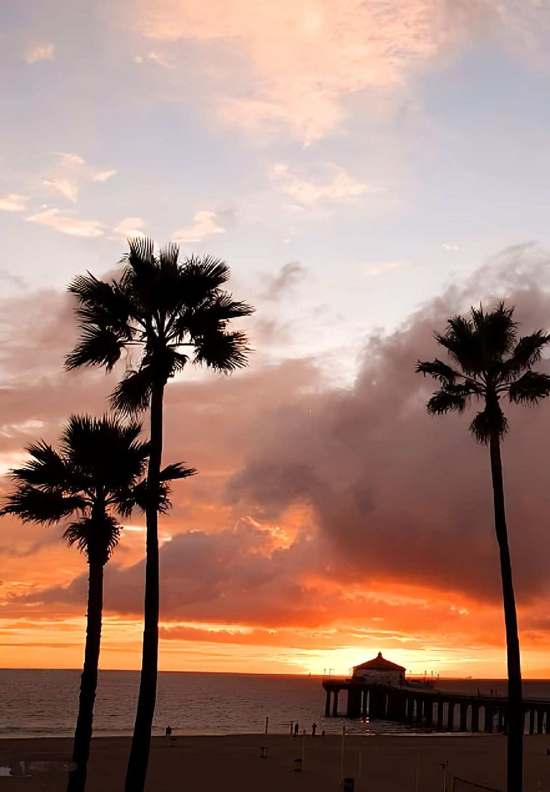 As the sun sets, Hermosa Beach's palm trees generate shadows that dance to the rhythm of a peaceful coastal evening.